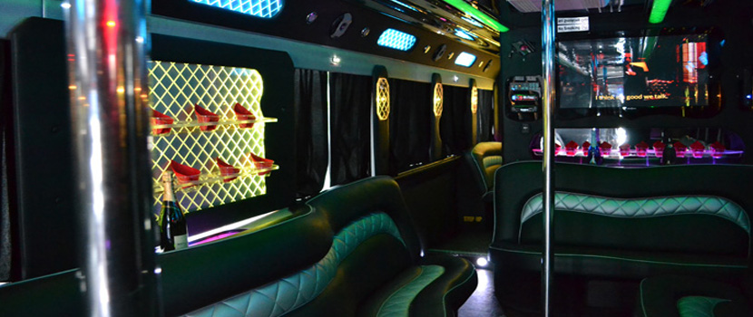 VIP Party Bus Interior Light